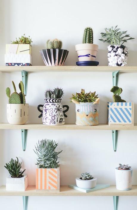 Deco: Obsesión por los mini cactus Deco: Obsesión por los mini cactus