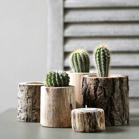 Deco: Obsesión por los mini cactus Deco: Obsesión por los mini cactus