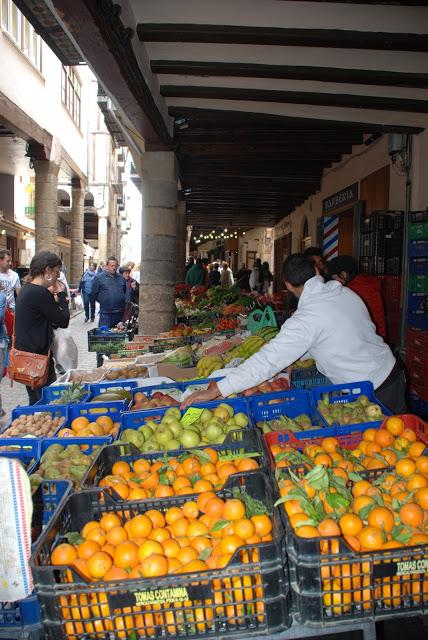 MORELLA