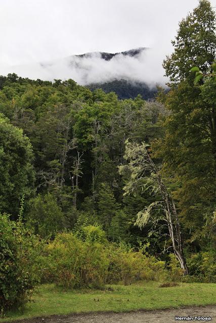 Sendero a Cascada Chachín (abril de  2017)