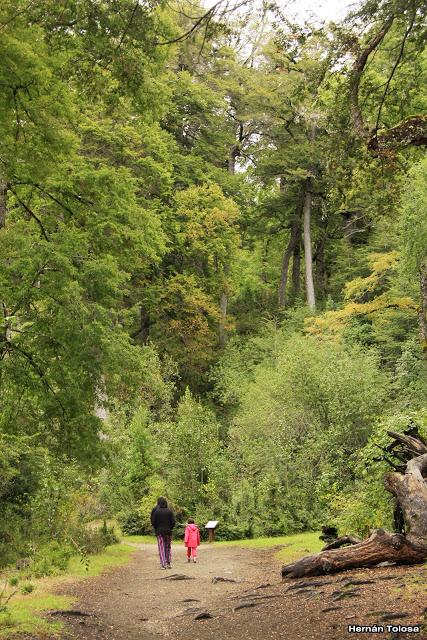 Sendero a Cascada Chachín (abril de  2017)