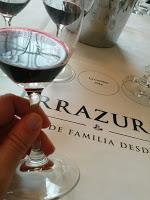 Errazuriz Aconcagua Costa Chardonnay y Pinot Noir: la novedosa apelación que comienza a dar que hablar