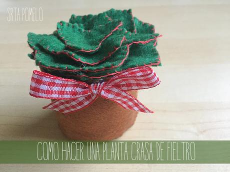 Cómo hacer una planta crasa de fieltro. Cómo hacer una planta crasa de fieltro.