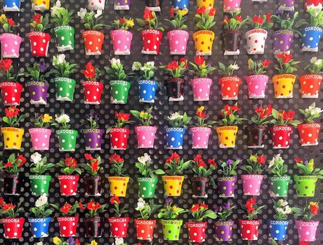 Patios cordobeses Patios cordobeses