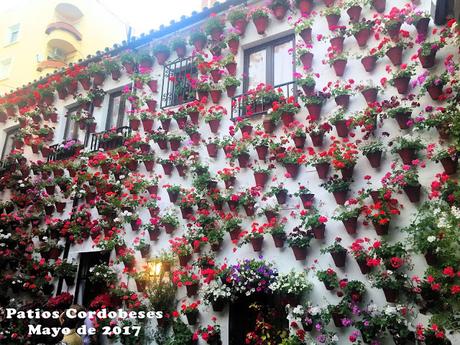 Patios cordobeses Patios cordobeses