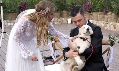 La exclusiva boda de Fonsi Nieto y Marta Castro