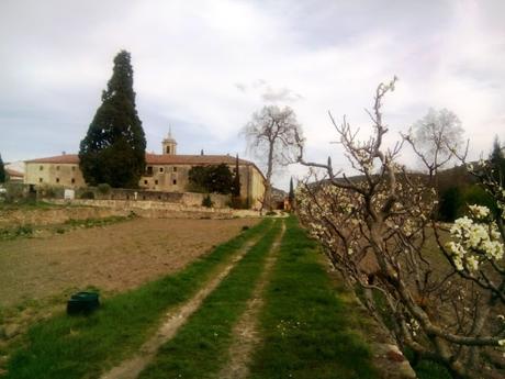 MONASTERIO DE SILOS: LLEGADA