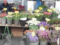 Ámsterdam. Una visita inolvidable Ámsterdam. Una visita inolvidable