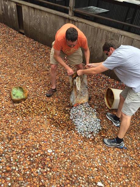 Un callejón lleno de chapas de botellas se convierte en atracción turística Un callejón lleno de chapas de botellas se convierte en atracción turística