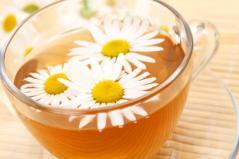 Las diferentes tipologías de infusiones y tés en hostelería Las diferentes tipologías de infusiones y tés en hostelería