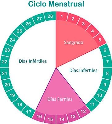 ¿Por qué se engorda durante la menstruación? Ganar peso durante el ciclo menstrual