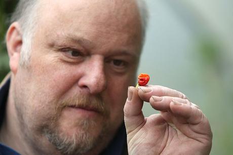 http://www.dailypost.co.uk/news/north-wales-news/-hottest-chili-world-killer-anaesthetic-13042313?utm_source=fark&utm_medium=website&utm_content=link&ICID=ref_fark Aliento de Dragón es el Nuevo Chile Más Picoso del Mundo
