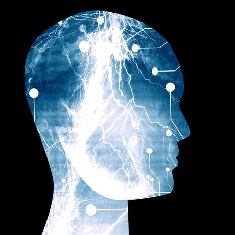 shutterstock_21295960-squashed Los niños con TDAH no tienen un cerebro más chico; la investigación que lo dijo habría ocultado y manipulado datos