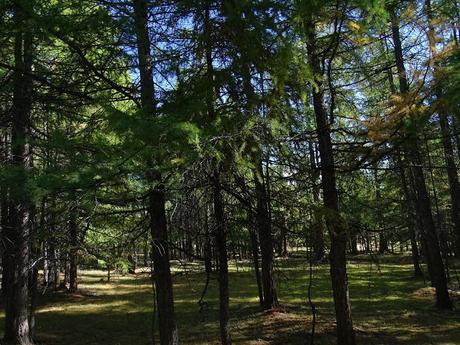 MONGOLIA: UN PASEO A CABALLO POR EL LAGO KHÖVSGÖL