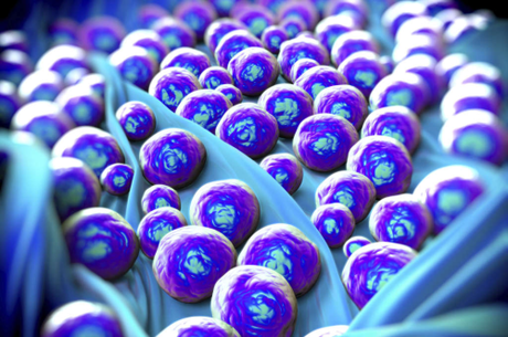 Fagos, el virus que nos salvará la vida ante el ocaso de los antibióticos