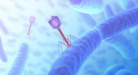 Fagos, el virus que nos salvará la vida ante el ocaso de los antibióticos
