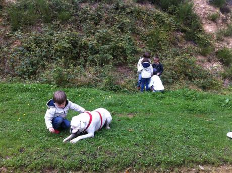 SITIOS PARA IR CON PERROS Y CON NIÑOS SITIOS PARA IR CON PERROS Y CON NIÑOS