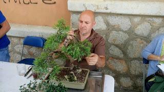 Exposicion en las fiestas del barri de Sant Pere 2017