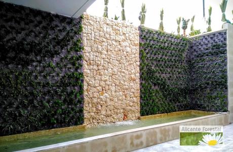 Jardín vertical recién plantado y evolución