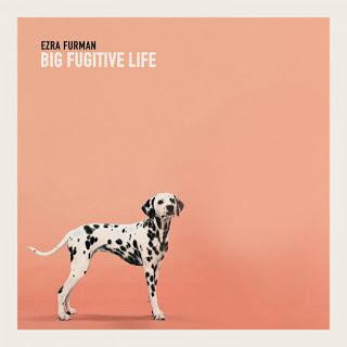 Ezra Furman - Little piece of trash (Live from the Distillery) (2016) Ezra Furman - Little piece of trash (Live from the Distillery) (2016)