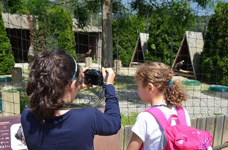 EL CIM D’ÁLIGUES, UNA ESCAPADA PARA VER VOLAR AVES RAPACES EL CIM D’ÁLIGUES, UNA ESCAPADA PARA VER VOLAR AVES RAPACES