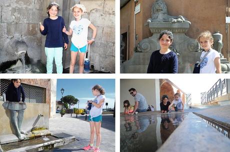 EL CIM D’ÁLIGUES, UNA ESCAPADA PARA VER VOLAR AVES RAPACES EL CIM D’ÁLIGUES, UNA ESCAPADA PARA VER VOLAR AVES RAPACES