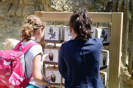 EL CIM D’ÁLIGUES, UNA ESCAPADA PARA VER VOLAR AVES RAPACES EL CIM D’ÁLIGUES, UNA ESCAPADA PARA VER VOLAR AVES RAPACES