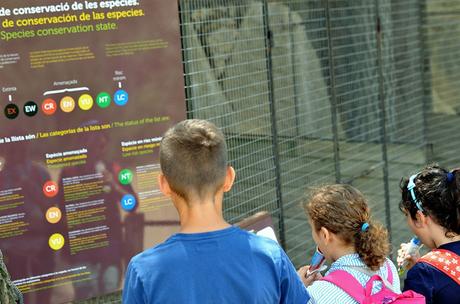 EL CIM D’ÁLIGUES, UNA ESCAPADA PARA VER VOLAR AVES RAPACES EL CIM D’ÁLIGUES, UNA ESCAPADA PARA VER VOLAR AVES RAPACES