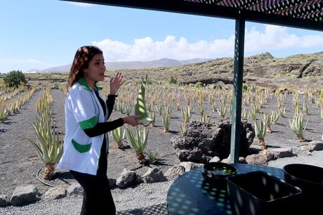 Descubirndo en profundidad el aloe vera con Aloe Plus Lanzarote