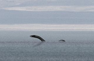 Los nexos de los mitos islandeses con otros mitos Los nexos de los mitos islandeses con otros mitos