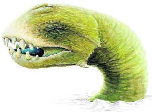 Los nexos de los mitos islandeses con otros mitos Los nexos de los mitos islandeses con otros mitos