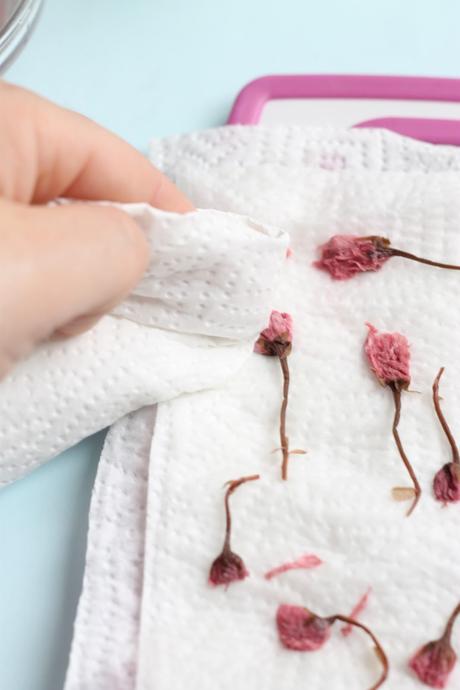 Tableta de chocolate blanco con sakura cherry blossom