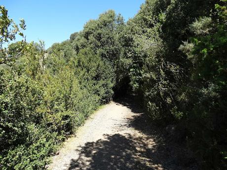 Visiones terrenales: la sierra de Busa