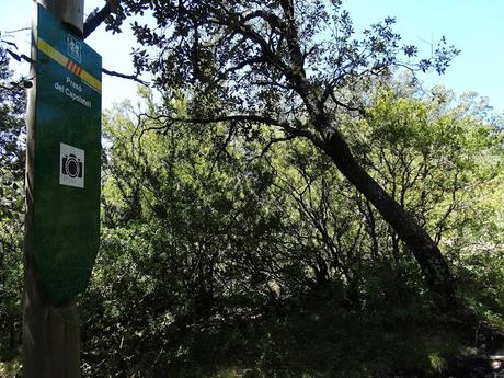 Visiones terrenales: la sierra de Busa