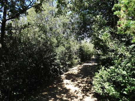 Visiones terrenales: la sierra de Busa