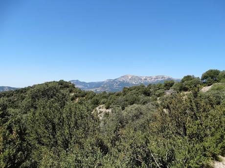 Visiones terrenales: la sierra de Busa