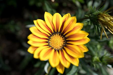 Sony FE 16-35 mm F2,8 G Master y FE 12-24 mm F4 G, toma de contacto y muestras de los nuevos objetivos gran angular Muestras 16 35mm 036