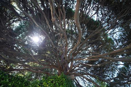 Sony FE 16-35 mm F2,8 G Master y FE 12-24 mm F4 G, toma de contacto y muestras de los nuevos objetivos gran angular Muestras 12 24mm 012