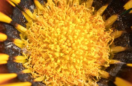 Sony FE 16-35 mm F2,8 G Master y FE 12-24 mm F4 G, toma de contacto y muestras de los nuevos objetivos gran angular Muestras 16 35mm 036b