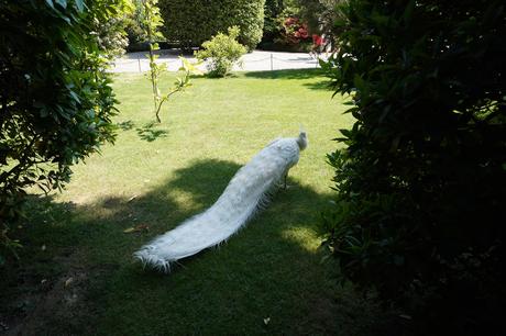 Sony FE 16-35 mm F2,8 G Master y FE 12-24 mm F4 G, toma de contacto y muestras de los nuevos objetivos gran angular Muestras 12 24mm 003