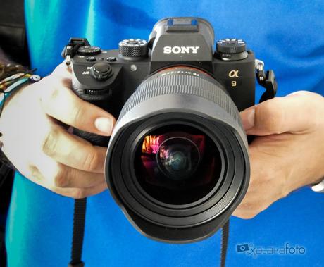 Sony FE 16-35 mm F2,8 G Master y FE 12-24 mm F4 G, toma de contacto y muestras de los nuevos objetivos gran angular Muestras Sony