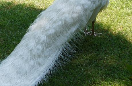 Sony FE 16-35 mm F2,8 G Master y FE 12-24 mm F4 G, toma de contacto y muestras de los nuevos objetivos gran angular Muestras 12 24mm 003b