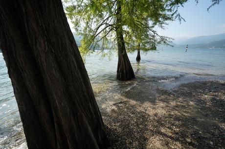 Sony FE 16-35 mm F2,8 G Master y FE 12-24 mm F4 G, toma de contacto y muestras de los nuevos objetivos gran angular Muestras 12 24mm 017