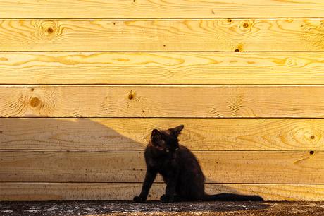 Los modos de fusión de Adobe Photoshop sin secretos (III) Modos De Fusion Original