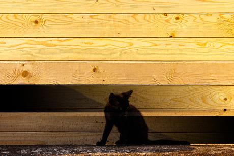 Los modos de fusión de Adobe Photoshop sin secretos (III) Modo De Fusion Multiplicar