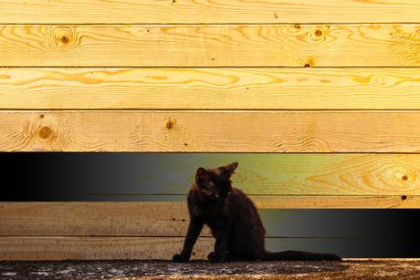 Los modos de fusión de Adobe Photoshop sin secretos (III) Modo De Fusion Oscurecer