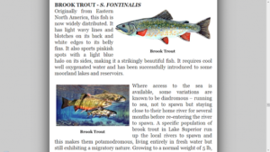 Disfruta del mar con Android Fly Fishing Encyclopedia