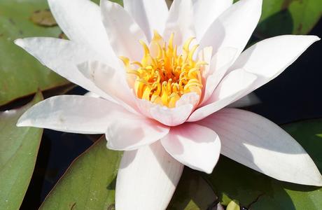 Sony A9, nueva toma de contacto de la full frame sin espejo de gama alta Muestras Sony Niveldetalle