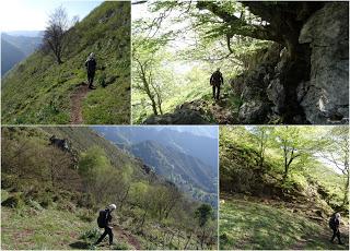 Ribota-Felguera-Doñango-La Collá Pelúgano-La Pandiella-Los Casares-Texera-Campa Perugues-La Güeya Carbayal