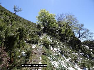 Ribota-Felguera-Doñango-La Collá Pelúgano-La Pandiella-Los Casares-Texera-Campa Perugues-La Güeya Carbayal